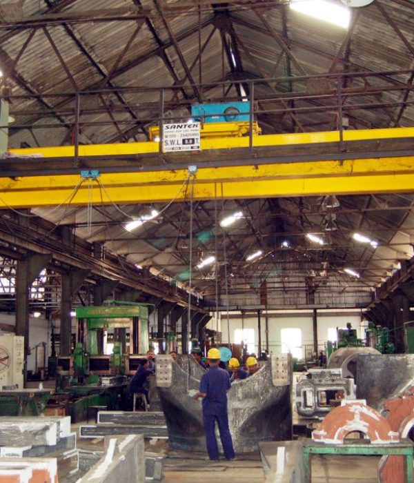 dg eot crane manufacturers in India